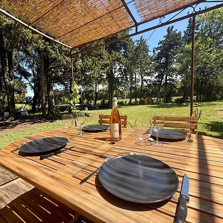 Maisonnette Avec Petite Foret Valréas Dış mekan fotoğraf