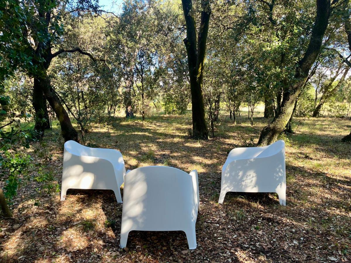 Maisonnette Avec Petite Foret Valréas Dış mekan fotoğraf